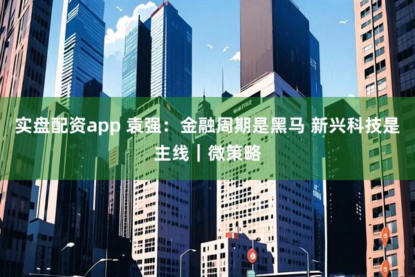 实盘配资app 袁强：金融周期是黑马 新兴科技是主线｜微策略