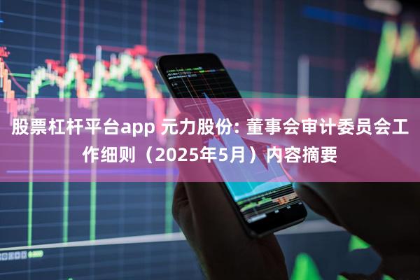 股票杠杆平台app 元力股份: 董事会审计委员会工作细则（2025年5月）内容摘要