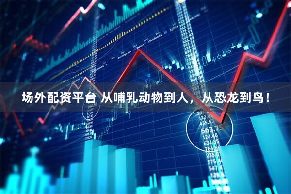 场外配资平台 从哺乳动物到人，从恐龙到鸟！